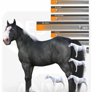 DA Ultimate Shape pack for Horse 3 – Breeds DA Ultimate Shape pack for Horse 3 – Breeds