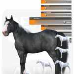 DA Ultimate Shape pack for Horse 3 – Breeds DA Ultimate Shape pack for Horse 3 – Breeds