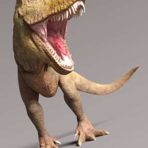 Rex HD for Genesis 8.1 Male Rex HD for Genesis 8.1 Male