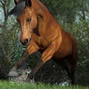 Free Spirit Poses for Daz Horse 3 Free Spirit Poses for Daz Horse 3