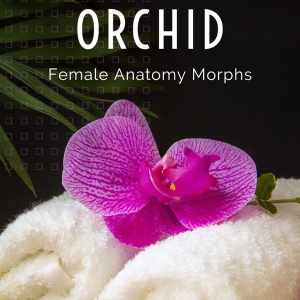 Orchid – Genital Morphs for G8F Anatomy Orchid – Genital Morphs for G8F Anatomy