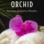 Orchid – Genital Morphs for G8F Anatomy Orchid – Genital Morphs for G8F Anatomy