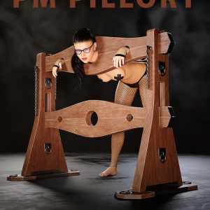 PM Pillory PM Pillory