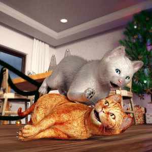 SBibb Kitten Poses and Morph SBibb Kitten Poses and Morph