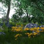 My Little Space in Nature My Little Space in Nature