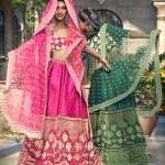 dForce Indian Bride Texture Add-On dForce Indian Bride Texture Add-On