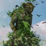 Creeping Ferns – Polypody Creeping Ferns – Polypody