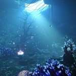 XI Underwater Cave XI Underwater Cave