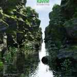 Nature Ravine Nature Ravine