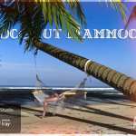 Coconut Hammock for DS Coconut Hammock for DS