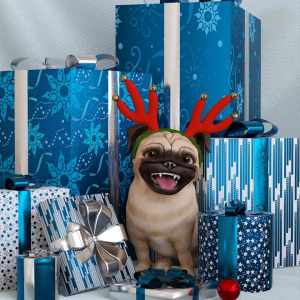 Holiday Wrapping: Papers Holiday Wrapping: Papers