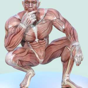 Masculine Muscle Maps for Genesis 9 Masculine Muscle Maps for Genesis 9