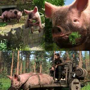 LoREZ Pig 2 Bundle LoREZ Pig 2 Bundle