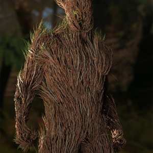 dForce Thicket for Genesis 8 Male dForce Thicket for Genesis 8 Male