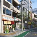 The Streets of Japan The Streets of Japan