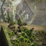 Tiny Plants – House Leeks Tiny Plants – House Leeks