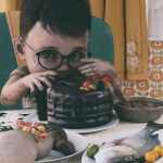 Food Dishes Food Dishes