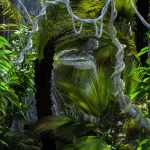 Tropical Plants for Daz Studio Vol 2 Tropical Plants for Daz Studio Vol 2