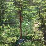Tropical Fruit and Foliage for Daz Studio Tropical Fruit and Foliage for Daz Studio