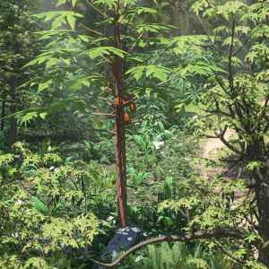 Tropical Fruit and Foliage for Daz Studio Tropical Fruit and Foliage for Daz Studio