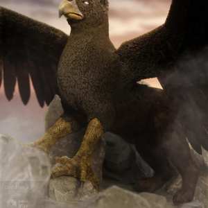 Griffin for Dog 8 Griffin for Dog 8