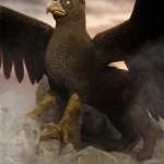 Griffin for Dog 8 Griffin for Dog 8