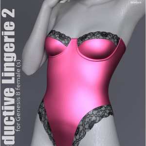 Seductive Lingerie 2 Seductive Lingerie 2