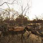 3D Scenery: Old Swamp 3D Scenery: Old Swamp