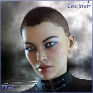 Prae-Ceto Hair For G8 Male and Female Daz Prae-Ceto Hair For G8 Male and Female Daz
