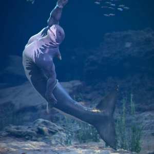 Texture Expansion for Jawz Texture Expansion for Jawz