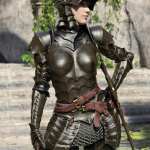 The Knight Series 02 for Genesis 8 Females The Knight Series 02 for Genesis 8 Females