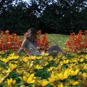 My Delicate Colorful Plants My Delicate Colorful Plants