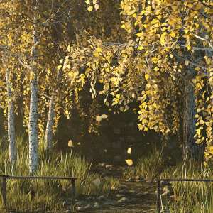 v176 Iray Birch Grove v176 Iray Birch Grove