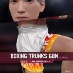 Boxing Trunks G8M for Genesis 8 Male Boxing Trunks G8M for Genesis 8 Male
