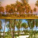 Tropical Beach Tropical Beach