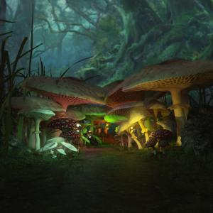 Dwarf’s World Dwarf’s World