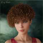 Prae-Evy Hair for G8 Daz Prae-Evy Hair for G8 Daz