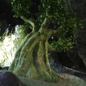 Millennial Tree Millennial Tree