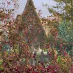 Spring Flowers – Flowering Currant Bushes Spring Flowers – Flowering Currant Bushes