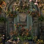 Tropical Flowers – Dragon Wing Begonia Plants Tropical Flowers – Dragon Wing Begonia Plants