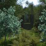 My Secret Grove My Secret Grove