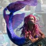 Coral 8.1 Mega Bundle Coral 8.1 Mega Bundle