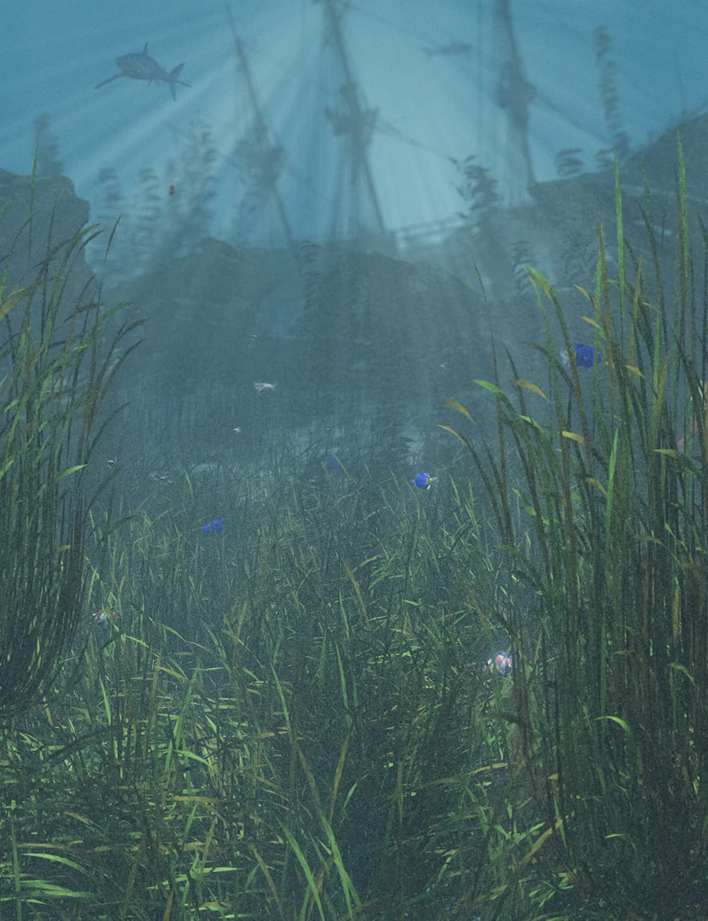 Just Beachy – Seagrass Underwater Meadows Just Beachy – Seagrass Underwater Meadows