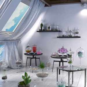 Glass Jars Collection Glass Jars Collection