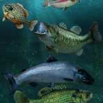 Freshwater Game Fish Freshwater Game Fish