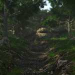 Mysterious Forest 2 Mysterious Forest 2