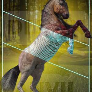 DA Geoshell Toolbox for Horse 2 DA Geoshell Toolbox for Horse 2