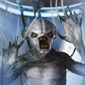 PTF Scratches and Cuts Decals PTF Scratches and Cuts Decals