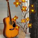 Modern House 2 Props 2 Modern House 2 Props 2