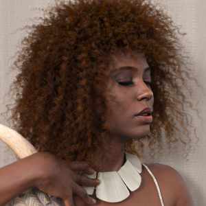 Hollywood Hair for Genesis 9 Hollywood Hair for Genesis 9